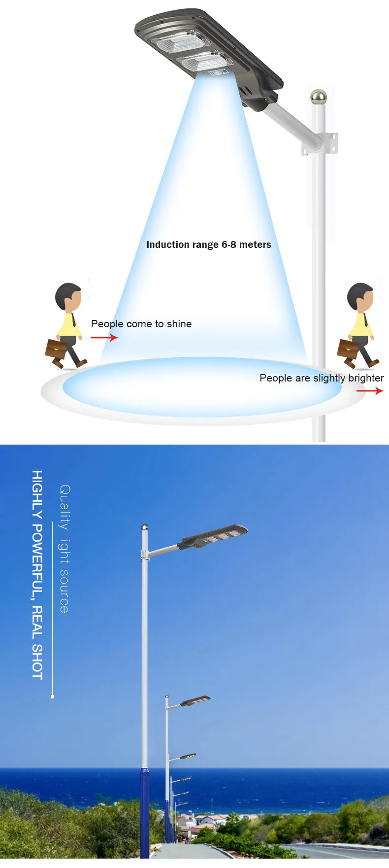 20W Remote Control Solar Street Light Ssl-3