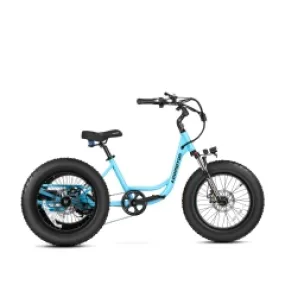 Addmotor - LANDTAN M-300