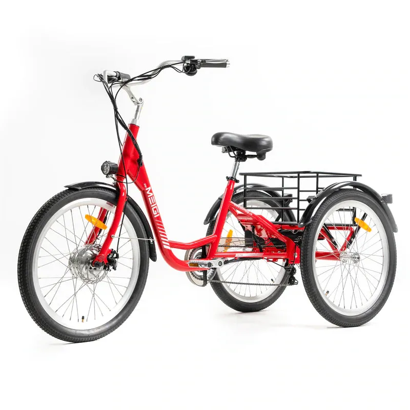 DWMEIGI MG708 350W 36V Electric Trike (Daywins)