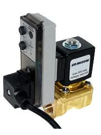 Granzow E2B15 Timer Solenoid Valve - 1/4" | E2B15 1/4