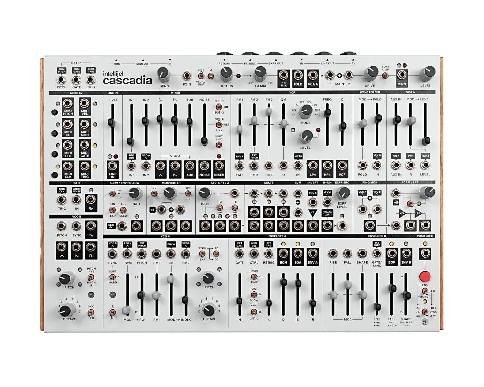 Intellijel Cascadia Semi-Modular Mono Synth - White Fog