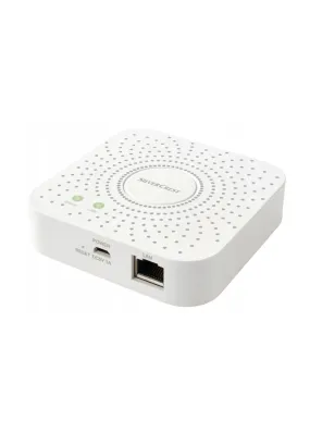 Network Gateway