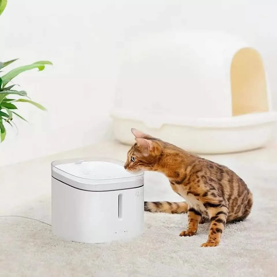 Pet Hydration Station - Automatic Drinking Fountain for Dogs & Cats