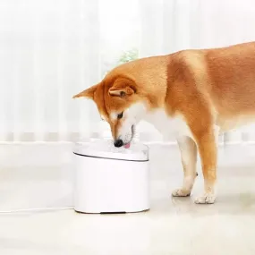 Pet Hydration Station - Automatic Drinking Fountain for Dogs & Cats