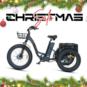 Veloz Grand-Prix Electric Trike Bike 500-750W Motor 120 Km Autonomy 20Ah Samsung Battery 150  Kilos weight load 6 Months Free Service
