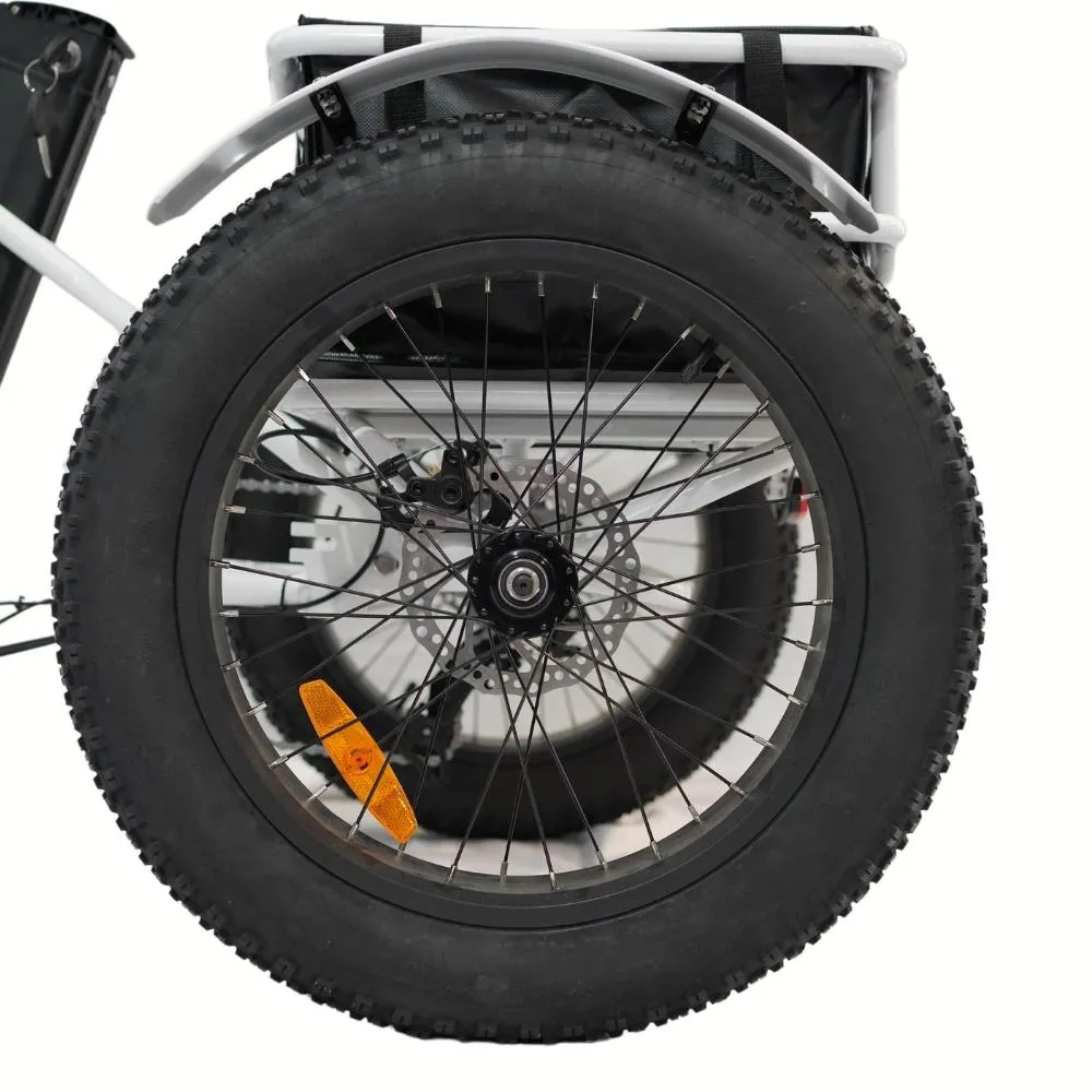 Veloz Grand-Prix Electric Trike Bike 500-750W Motor 120 Km Autonomy 20Ah Samsung Battery 150  Kilos weight load 6 Months Free Service