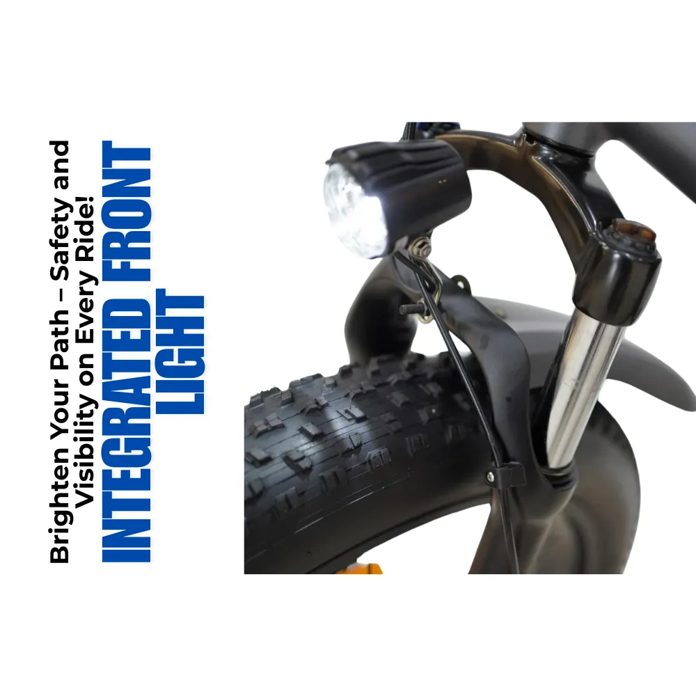 Veloz Grand-Prix Electric Trike Bike 500-750W Motor 120 Km Autonomy 20Ah Samsung Battery 150  Kilos weight load 6 Months Free Service