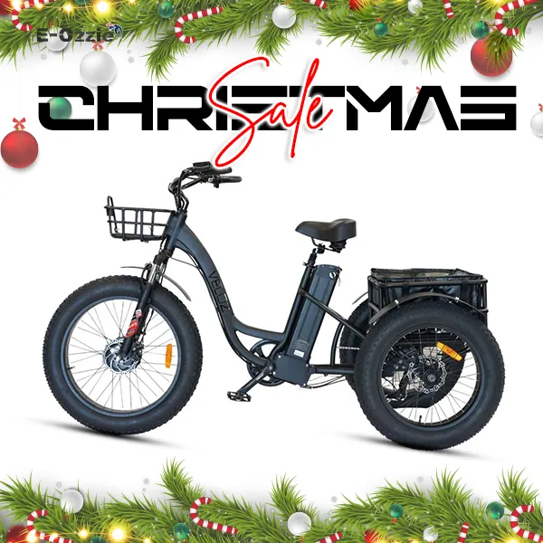 Veloz Grand-Prix Electric Trike Bike 500-750W Motor 120 Km Autonomy 20Ah Samsung Battery 150  Kilos weight load 6 Months Free Service