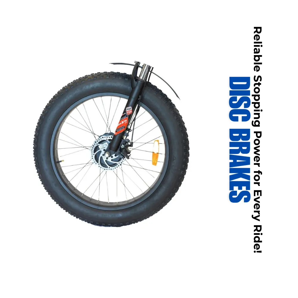 Veloz Grand-Prix Electric Trike Bike 500-750W Motor 120 Km Autonomy 20Ah Samsung Battery 150  Kilos weight load 6 Months Free Service