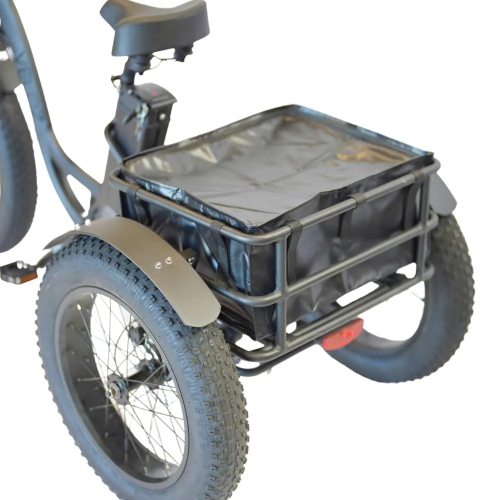 Veloz Grand-Prix Electric Trike Bike 500-750W Motor 120 Km Autonomy 20Ah Samsung Battery 150  Kilos weight load 6 Months Free Service