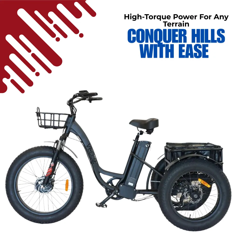 Veloz Grand-Prix Electric Trike Bike 500-750W Motor 120 Km Autonomy 20Ah Samsung Battery 150  Kilos weight load 6 Months Free Service