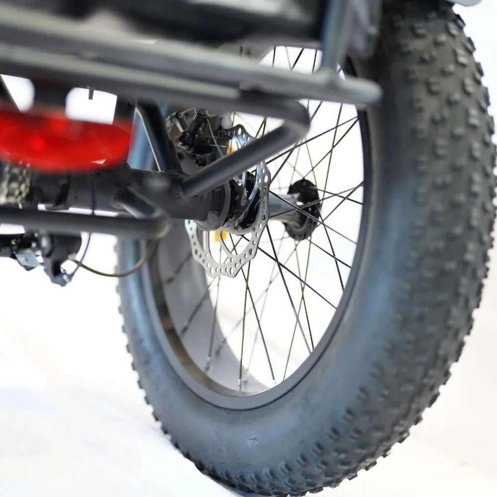Veloz VOLTZILA Electric Trike Bike 500-750W Motor 150 Km Autonomy 20Ah Samsung Battery 200  Kilos weight load 6 Months Free Service
