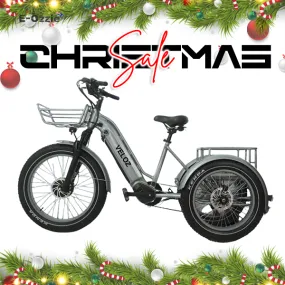 Veloz VOLTZILA Electric Trike Bike 500-750W Motor 150 Km Autonomy 20Ah Samsung Battery 200  Kilos weight load 6 Months Free Service