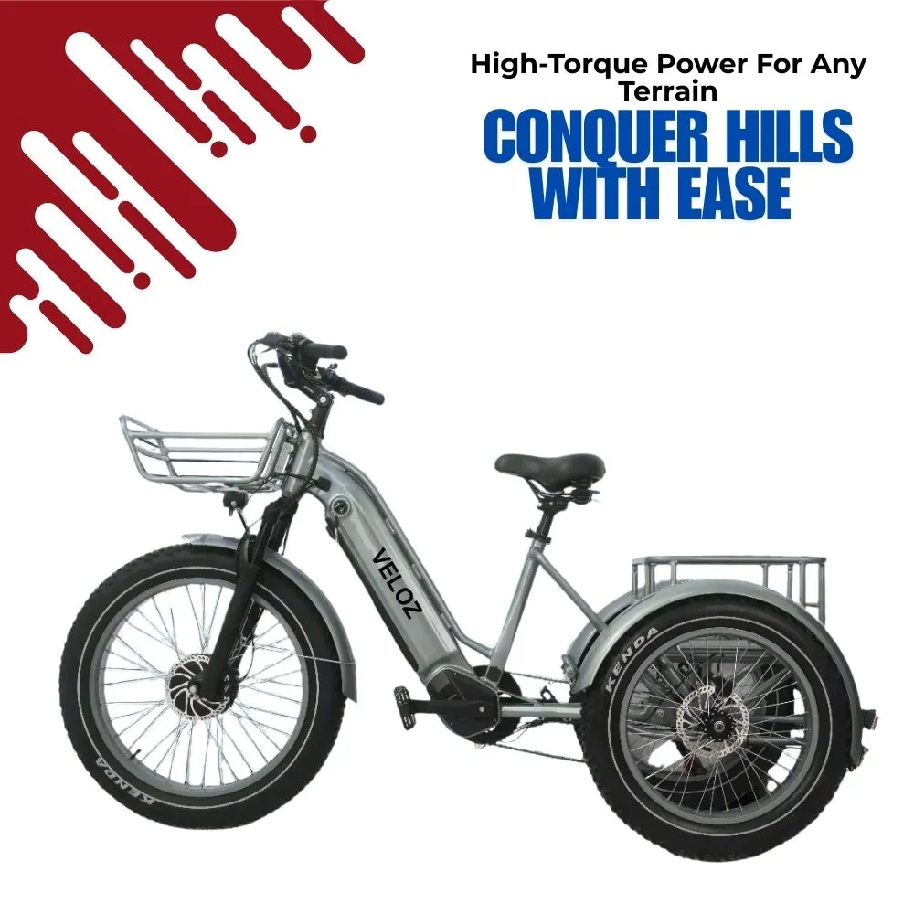 Veloz VOLTZILA Electric Trike Bike 500-750W Motor 200 Km Autonomy 20Ah Samsung Battery 200  Kilos weight load 6 Months Free Service