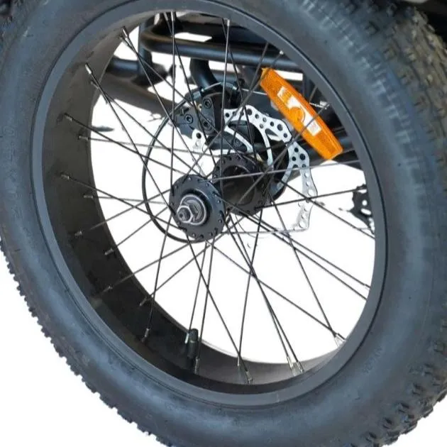 Veloz VOLTZILA Electric Trike Bike 500-750W Motor 200 Km Autonomy 20Ah Samsung Battery 200  Kilos weight load 6 Months Free Service