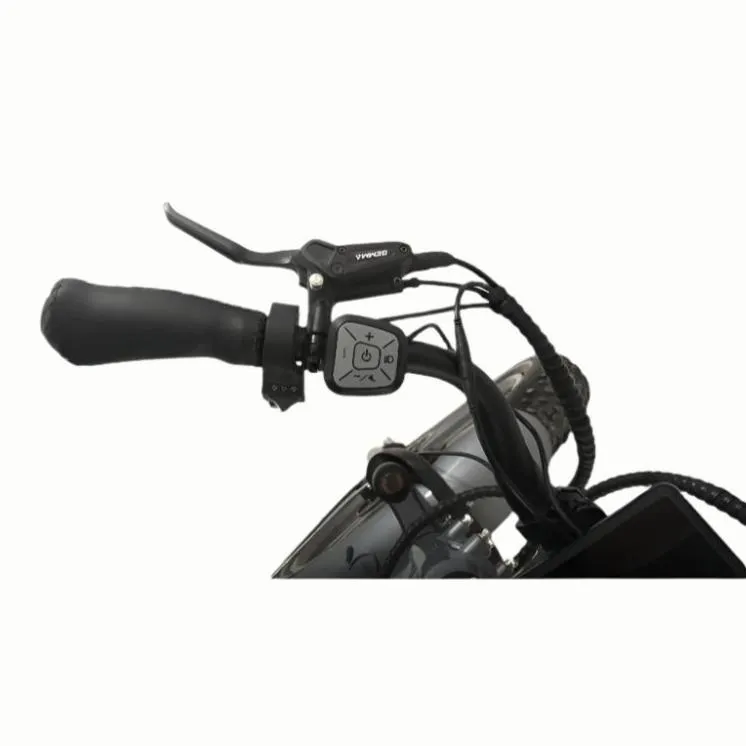 Veloz VOLTZILA Electric Trike Bike 500-750W Motor 200 Km Autonomy 20Ah Samsung Battery 200  Kilos weight load 6 Months Free Service