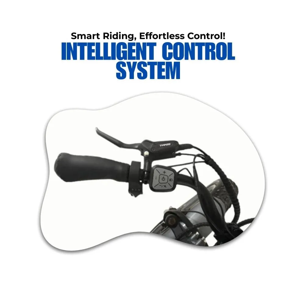 Veloz VOLTZILA Electric Trike Bike 500-750W Motor 200 Km Autonomy 20Ah Samsung Battery 200  Kilos weight load 6 Months Free Service
