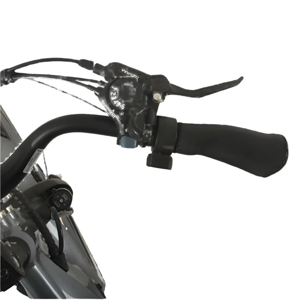 Veloz VOLTZILA Electric Trike Bike 500-750W Motor 200 Km Autonomy 20Ah Samsung Battery 200  Kilos weight load 6 Months Free Service