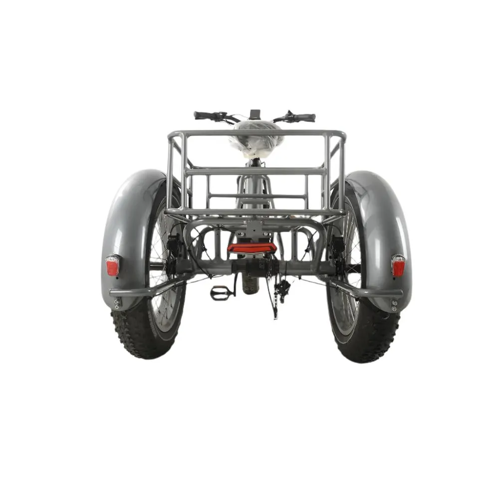 Veloz VOLTZILA Electric Trike Bike 500-750W Motor 200 Km Autonomy 20Ah Samsung Battery 200  Kilos weight load 6 Months Free Service