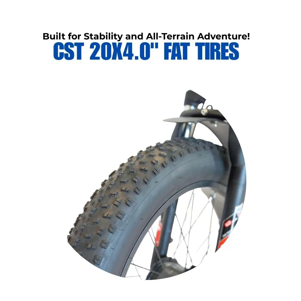 Veloz VOLTZILA Electric Trike Bike 500-750W Motor 200 Km Autonomy 20Ah Samsung Battery 200  Kilos weight load 6 Months Free Service