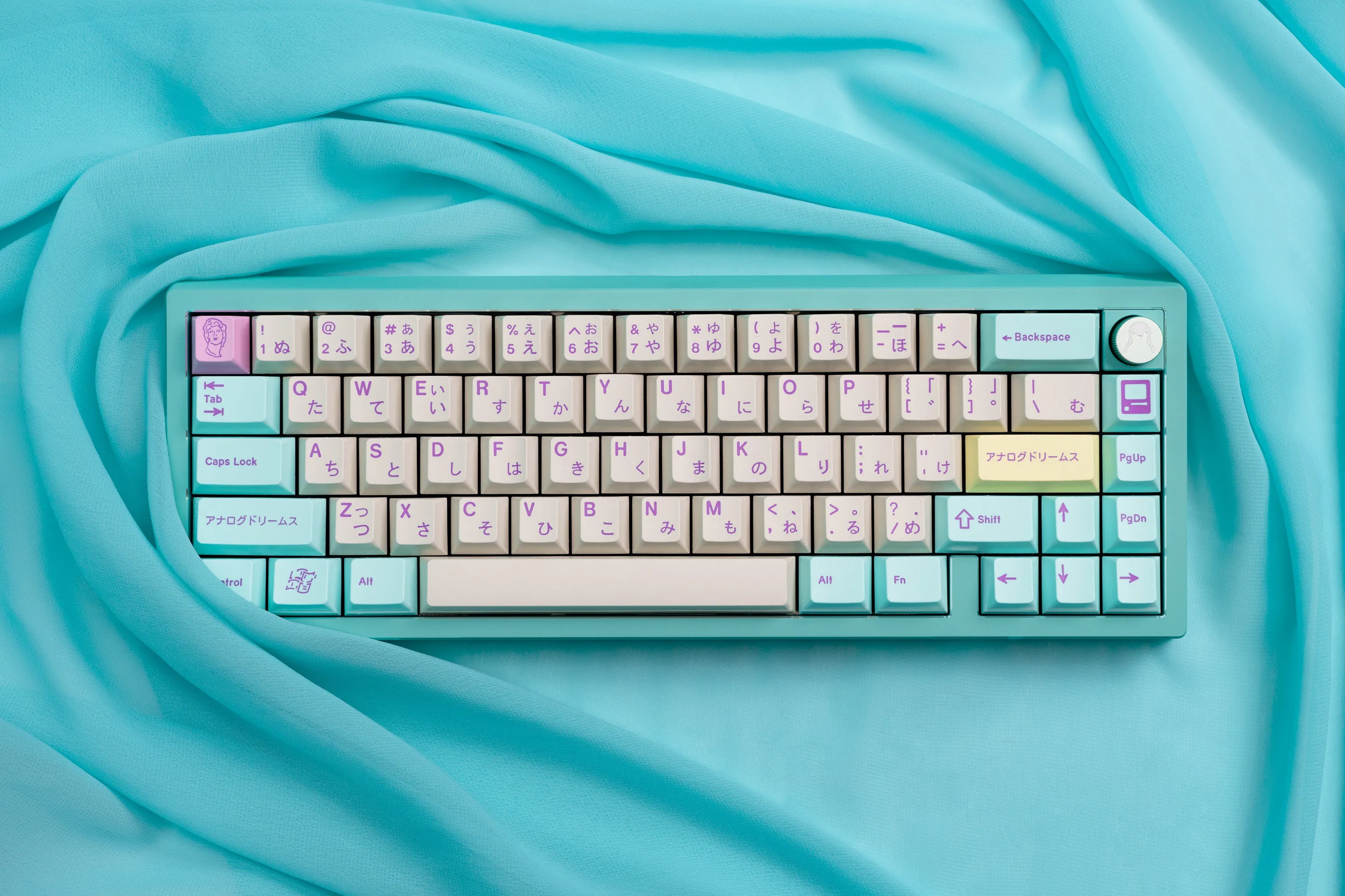 ZOOM65v3